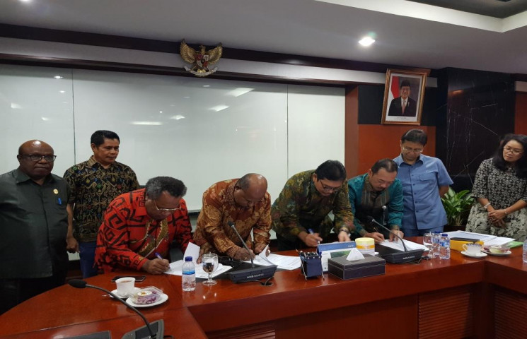 Papua Lunasi Divestasi Saham Freport Dari Deviden